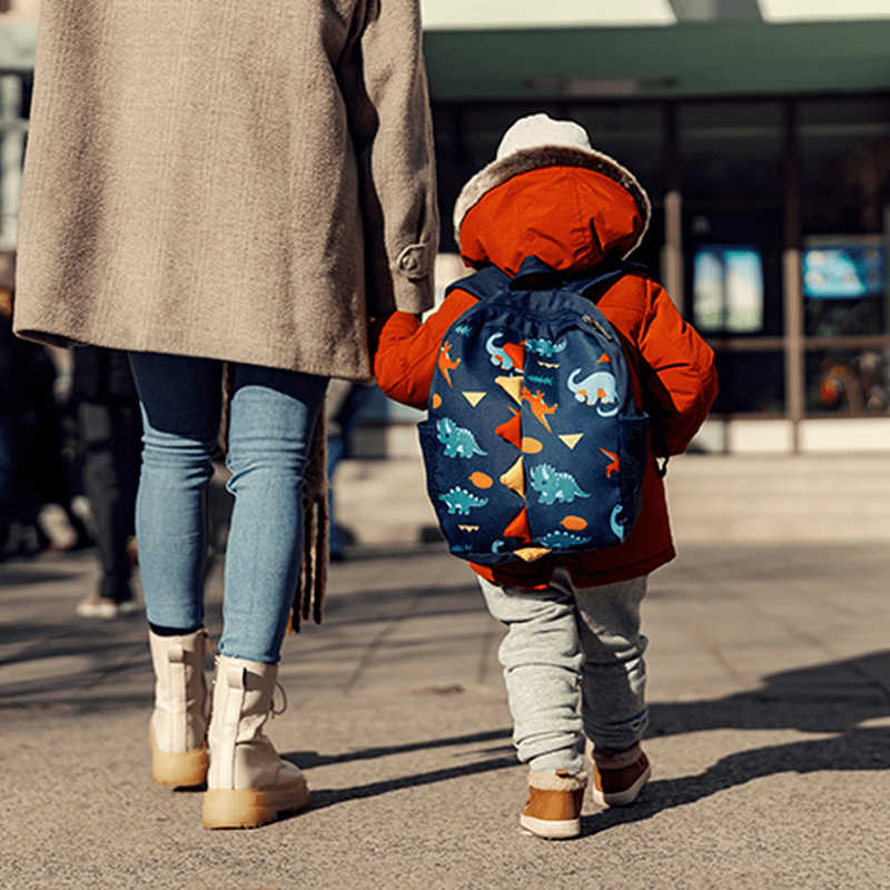 Hearing on the Analysis of Child Guarantee National Action Plans