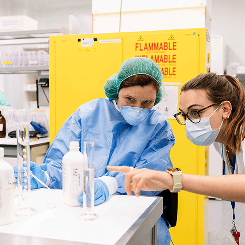 Virtual Visit to Belgium - Job quality: a key driver for increasing labour force participation