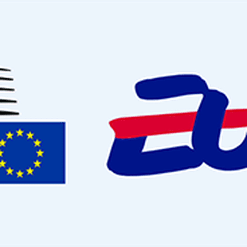 Social inclusion and independent functioning of people with disabilities in the EU