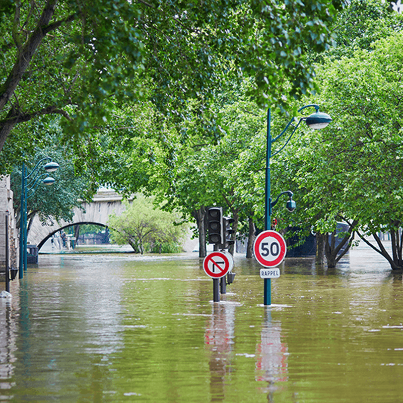 Watch the webinar - Eurofound LIVE: Is Europe's green transition in jeopardy?