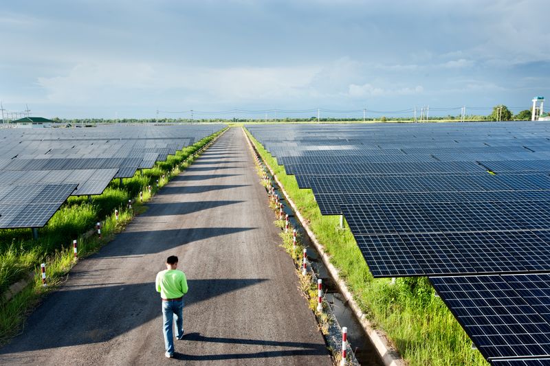 Man walking between fields of solar panels