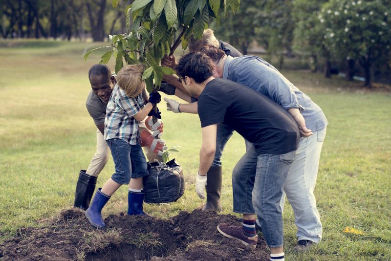 Mixed group planting tree in community